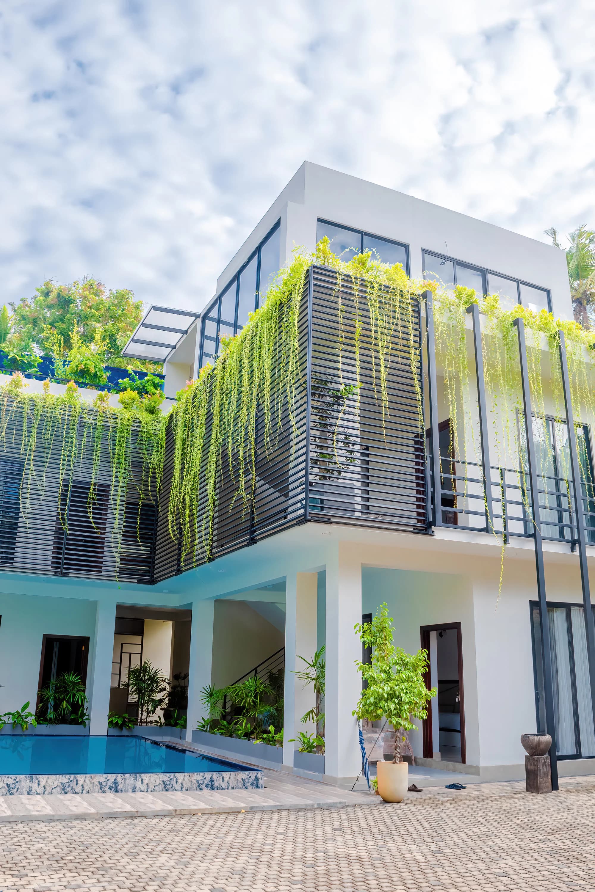 Lush Tropical Garden
